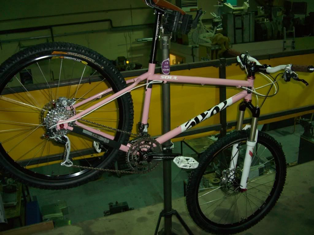 pinkl001.jpg