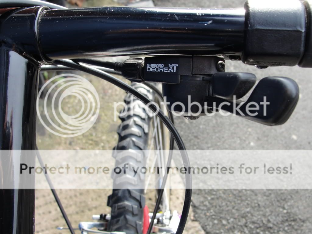 bikes016.jpg