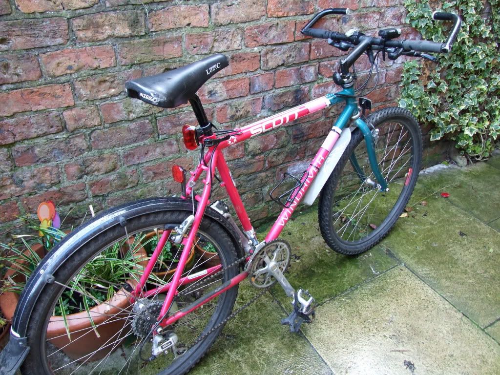 DSCF5944.jpg