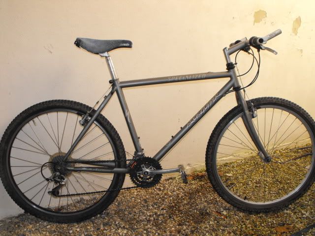 Rockhopper001.jpg