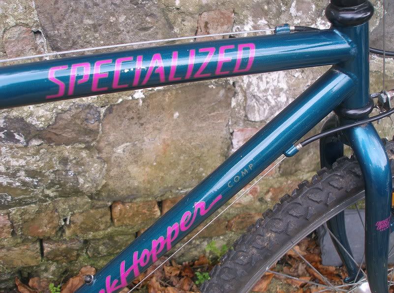 spz6.jpg