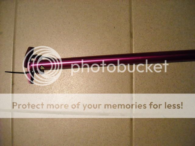 DSCN0452.jpg