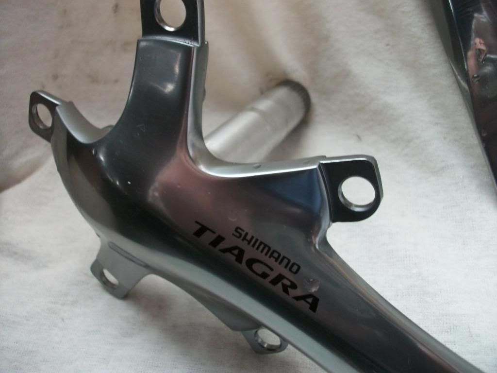 IMGP4403.jpg