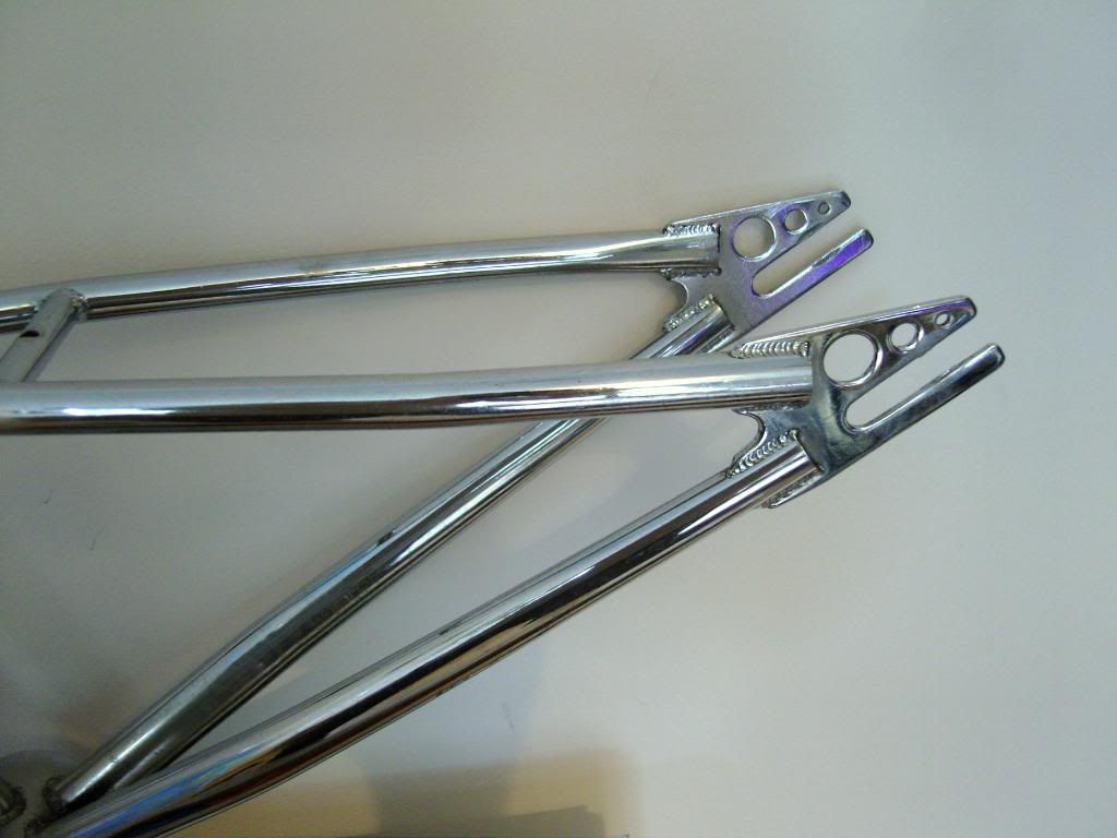 SNC10080.jpg