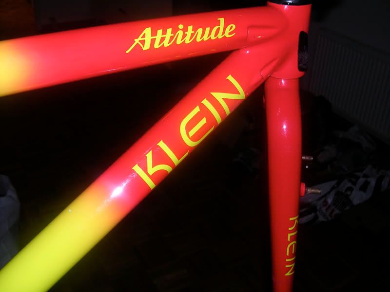 KLEINATTITUDE2.jpg