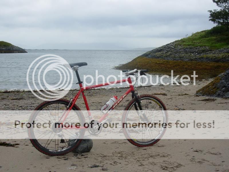 bianchi010.jpg
