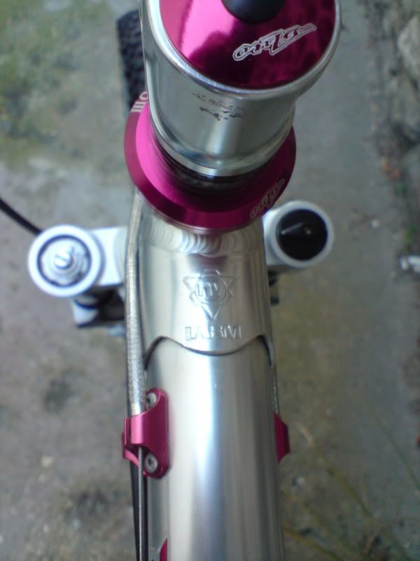 DSC00779.jpg