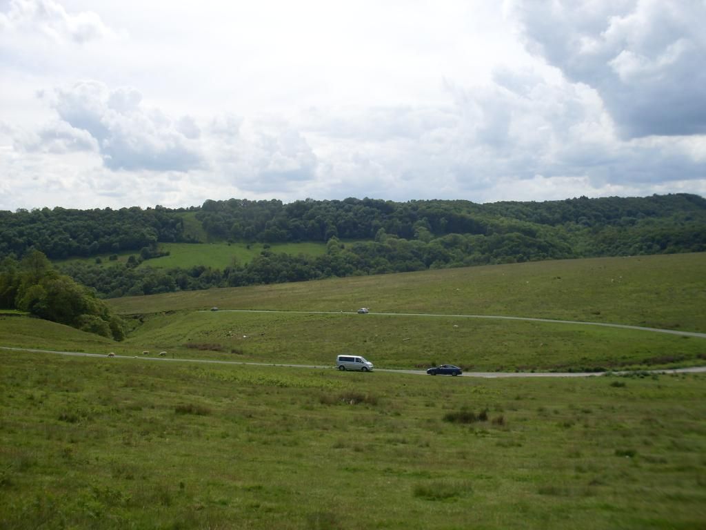 SDC10401_zpsbd781841.jpg