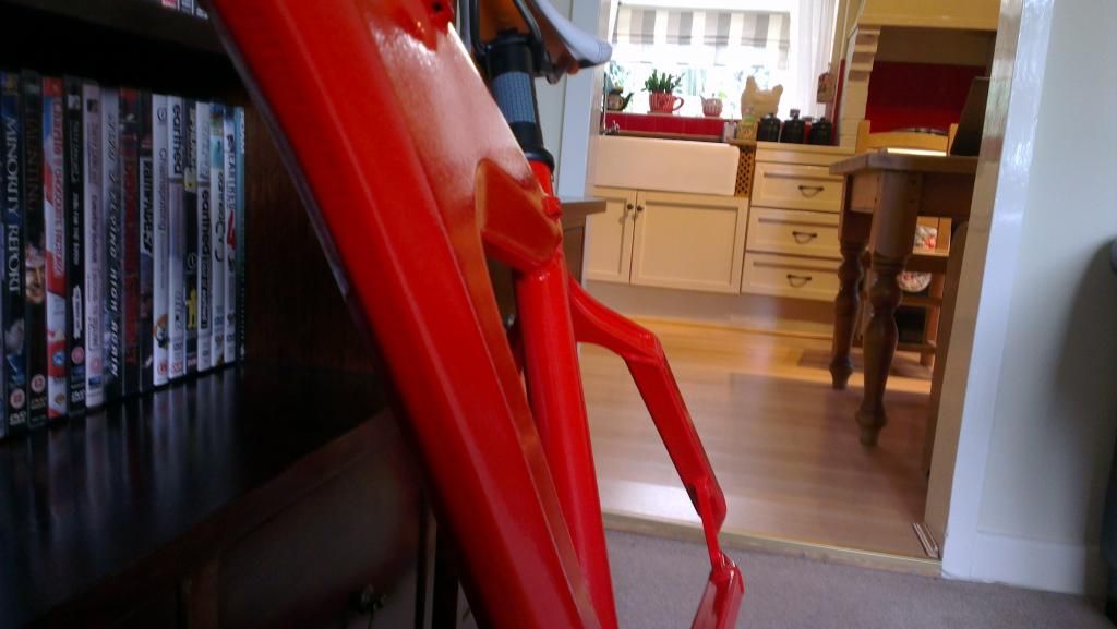 IMAG0108.jpg