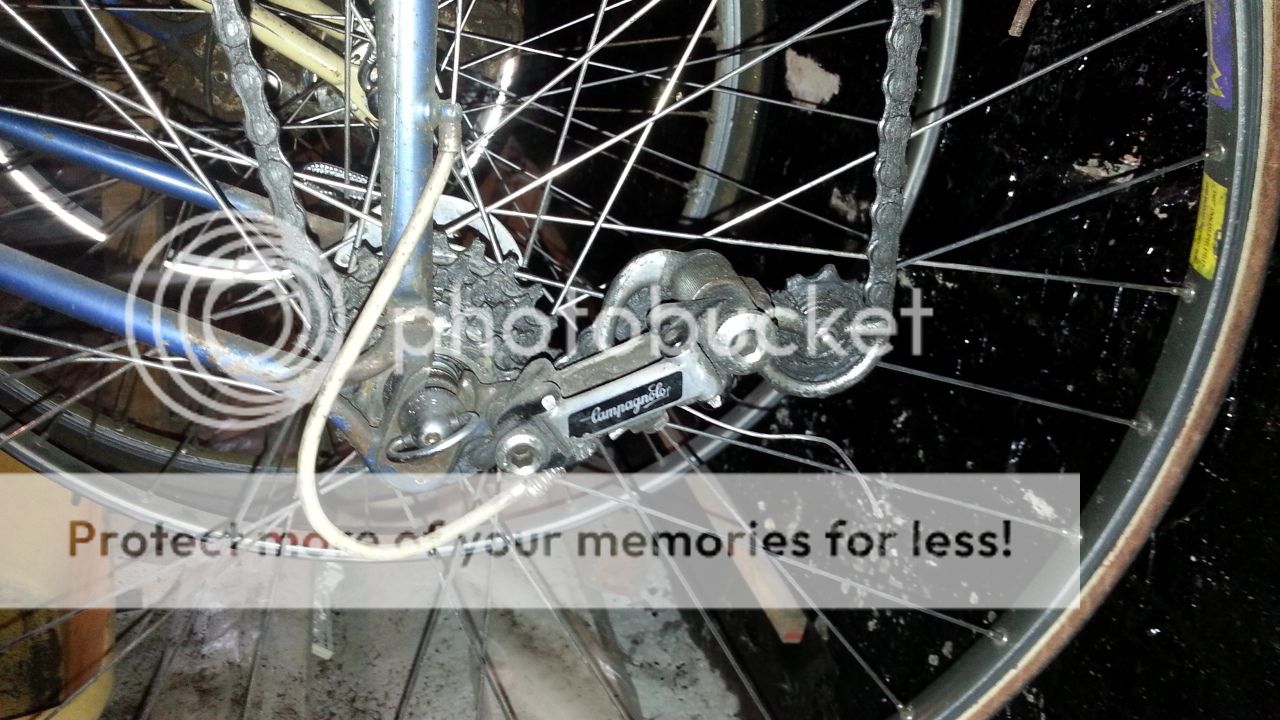 20130912_151429_zpsc8d860f9.jpg