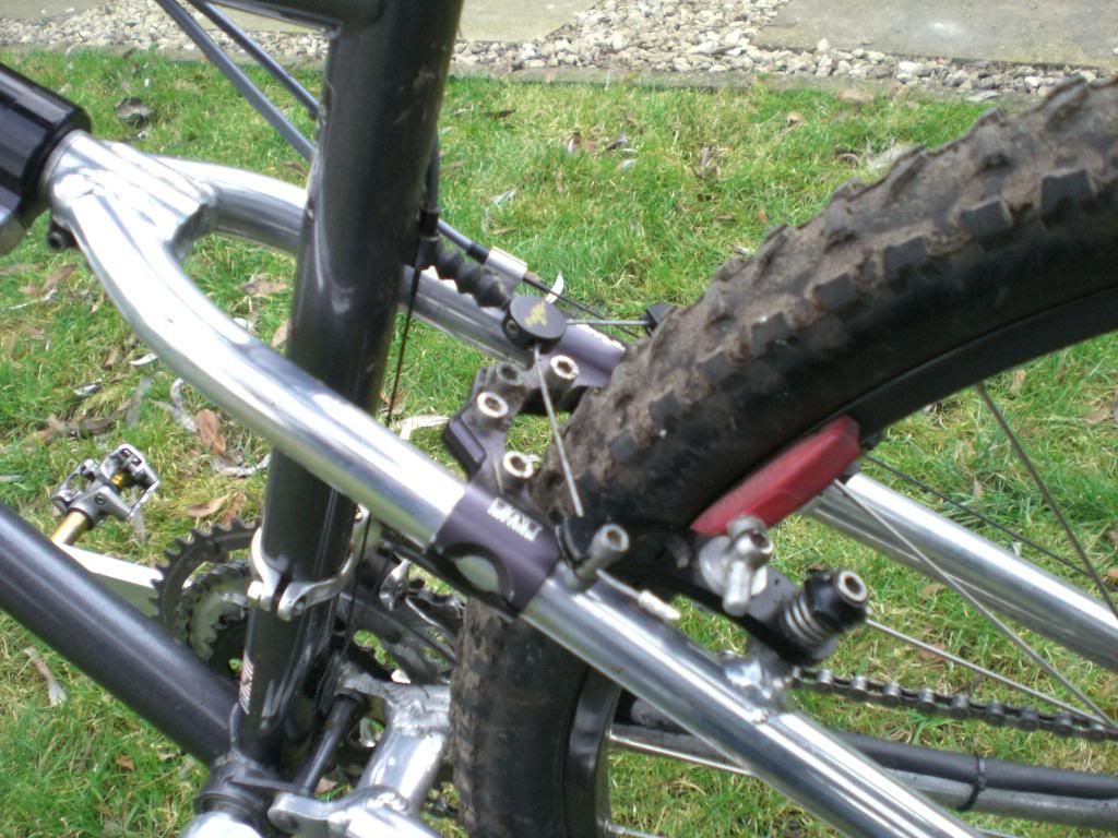 brandscortinacatsgrandbornandbikes122.jpg