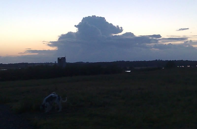 140720101264.jpg
