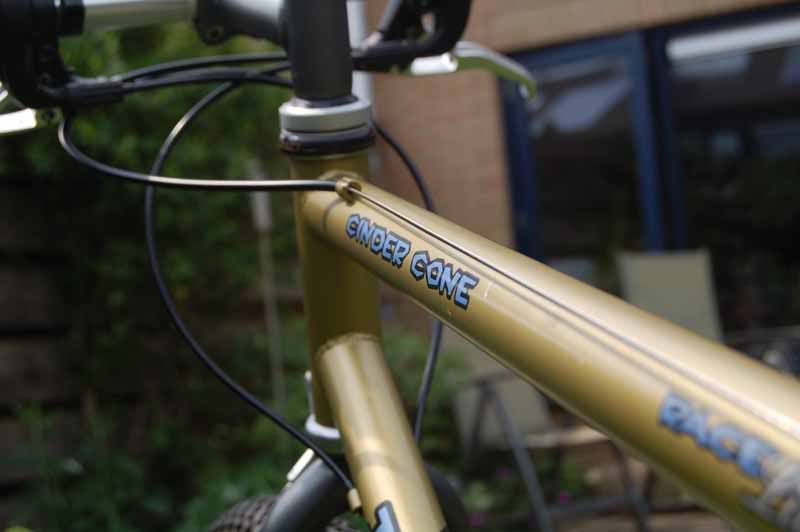 1996CinderCone553.jpg