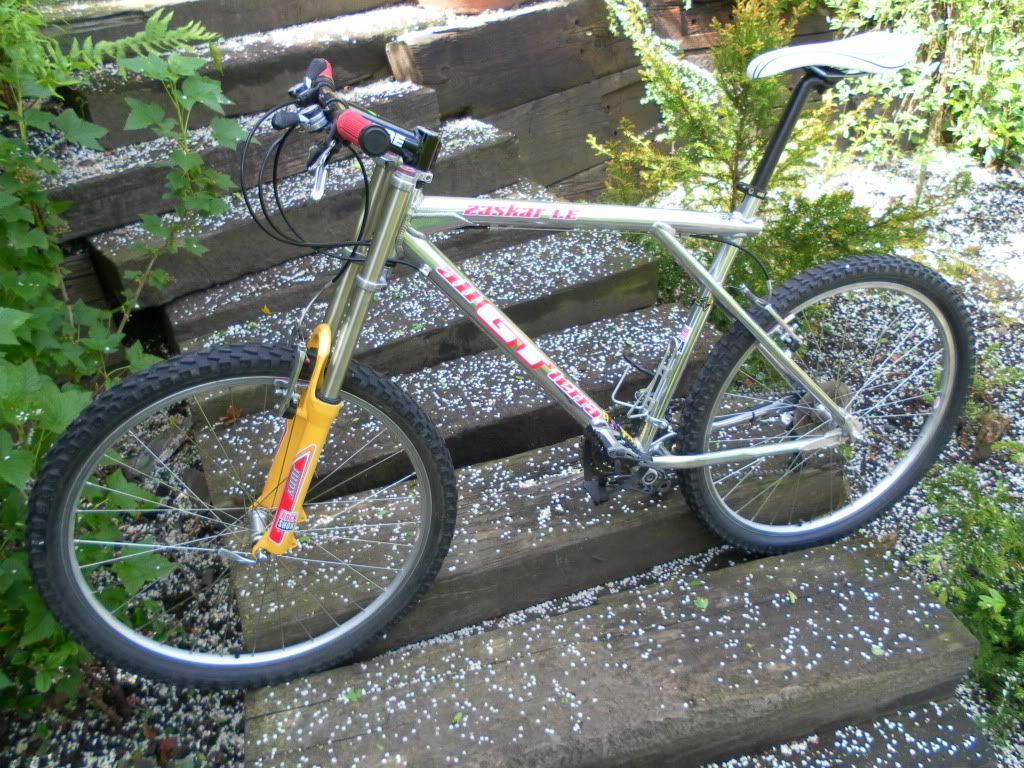 bikes018.jpg