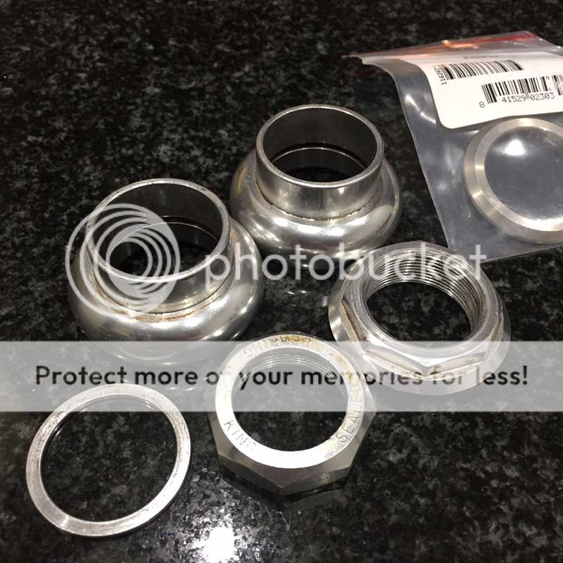 kingsilver1.jpg
