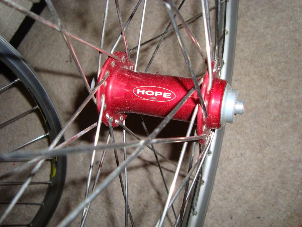 Adambike006-4.jpg