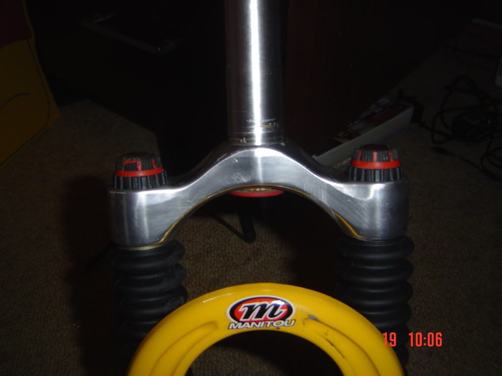 DSC01774.jpg