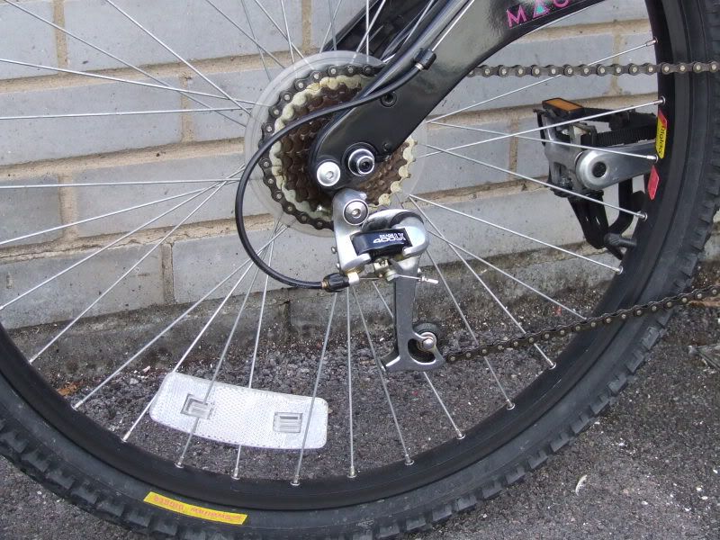 DSCF4380.jpg