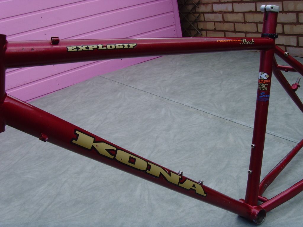 SNV36764.jpg