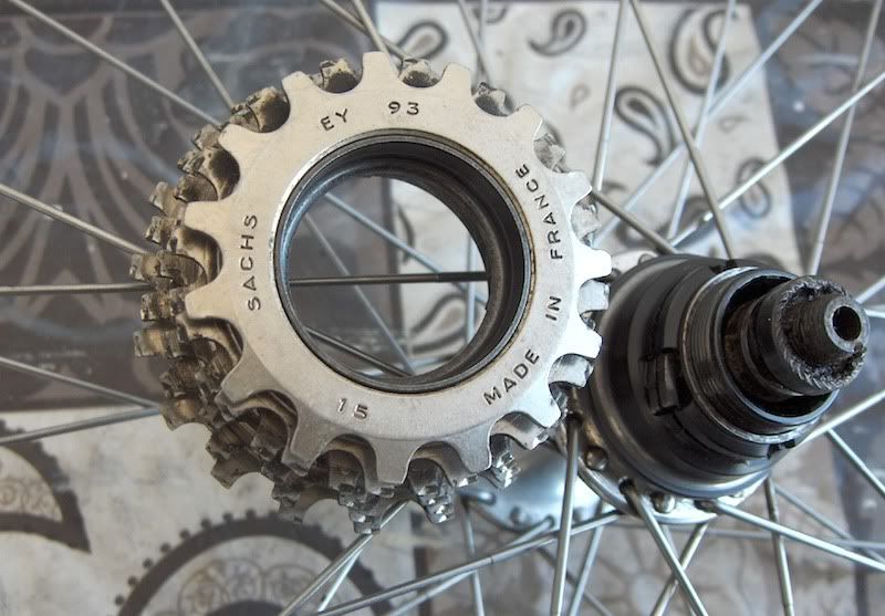 Freewheel04.jpg