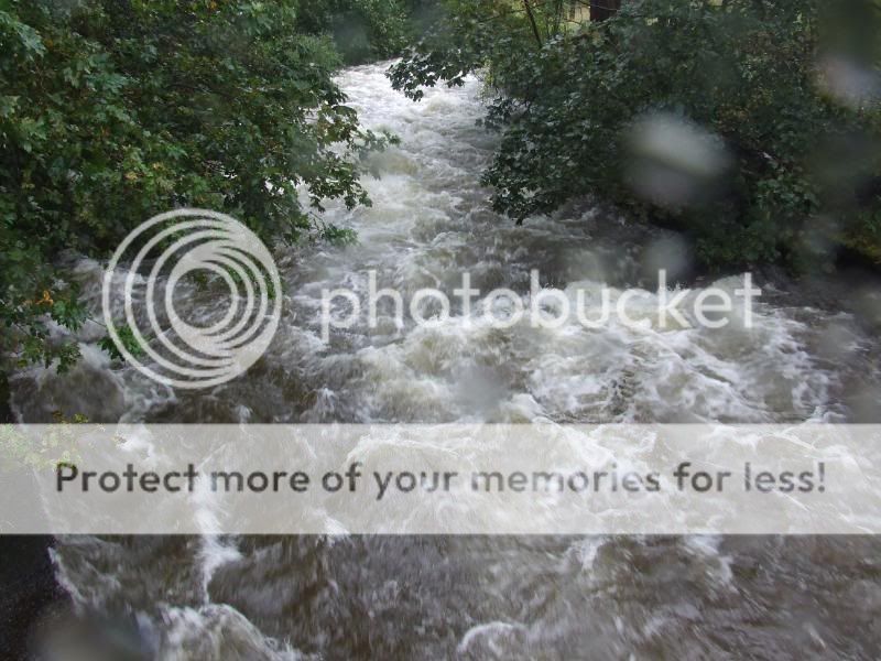 DSCF3786.jpg