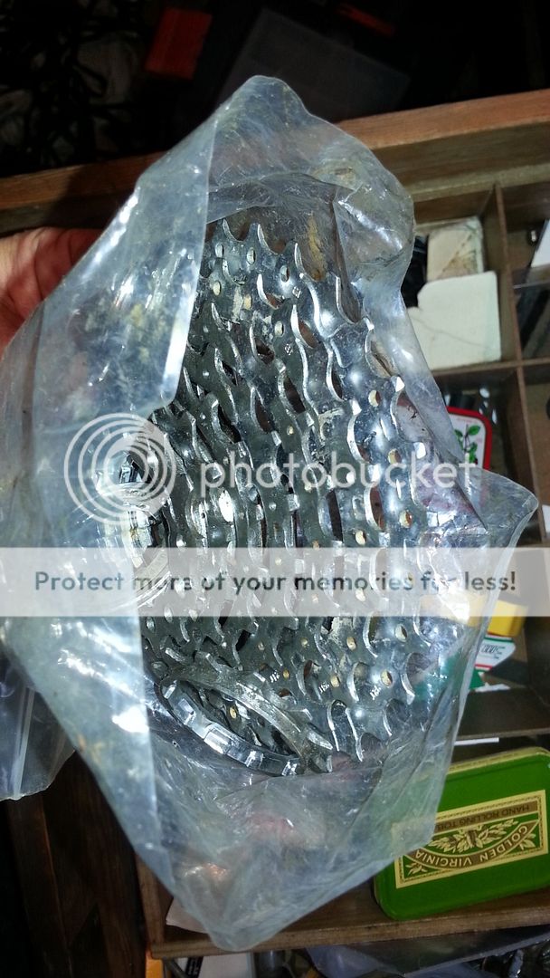 20130912_152437_zps8c697d1e.jpg