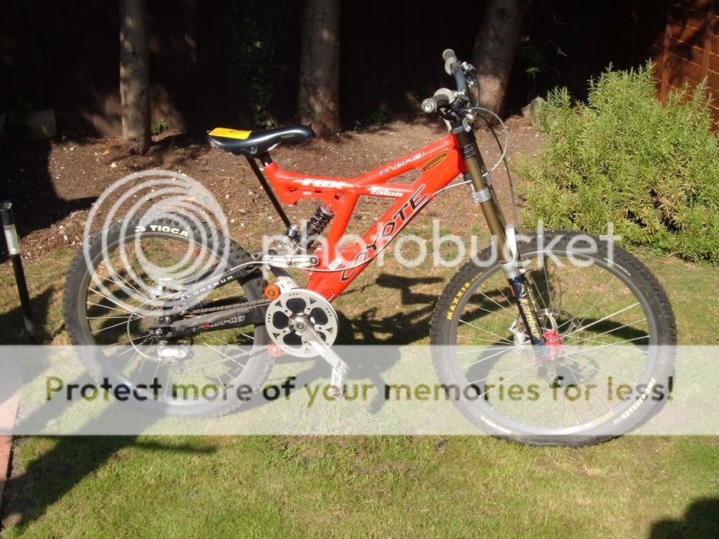 ebayandWildlifepark113.jpg