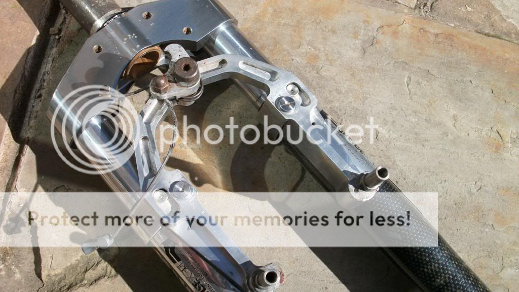 IMGP1773.jpg