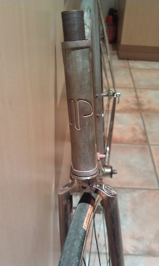 IMAG0890.jpg