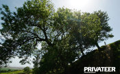 Privateer 4 on sale now