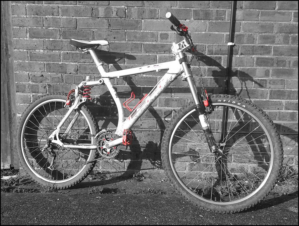 LTS_jan2013BandW.jpg