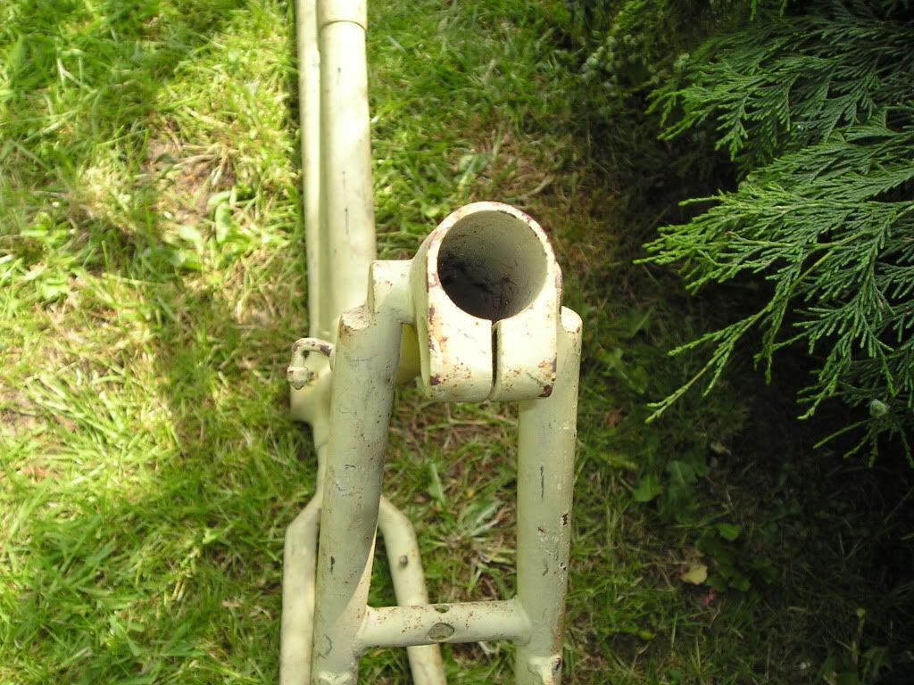 P1010017-1.jpg