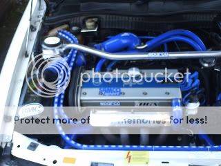 cally003-1.jpg