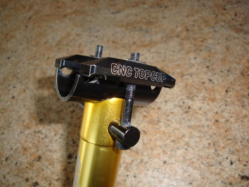 Saker003.jpg