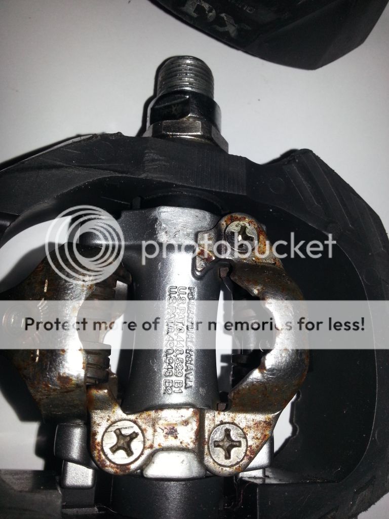 2013-01-30183115.jpg