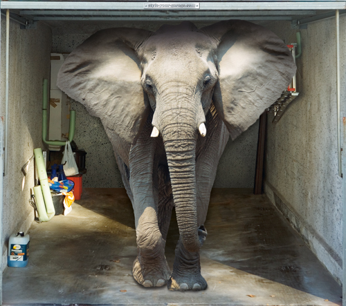 Style-Your-Garage-Elephant.jpg