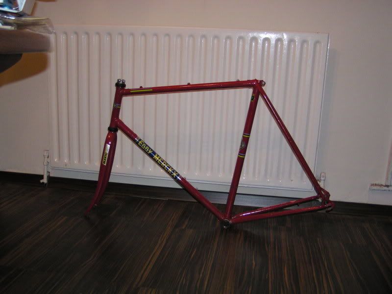 24-11-08006.jpg