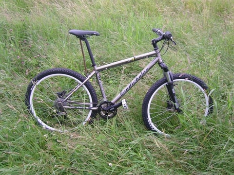 Foto-RIM47Q3Q-D.jpg