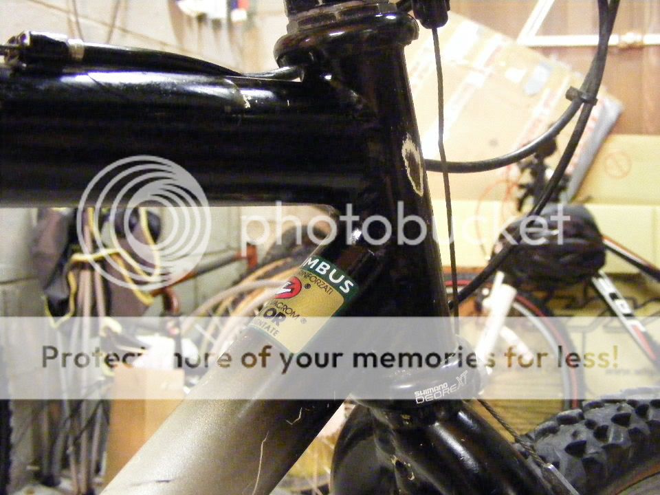 2011_0110gitane0003.jpg