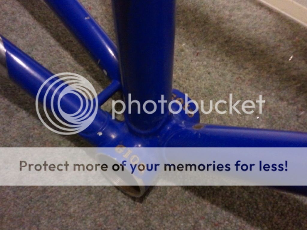 2012-11-29075232.jpg