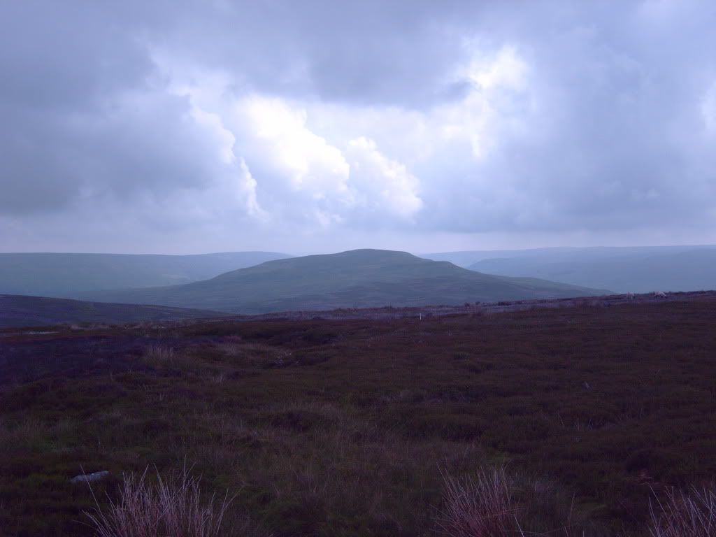 IMG00363.jpg