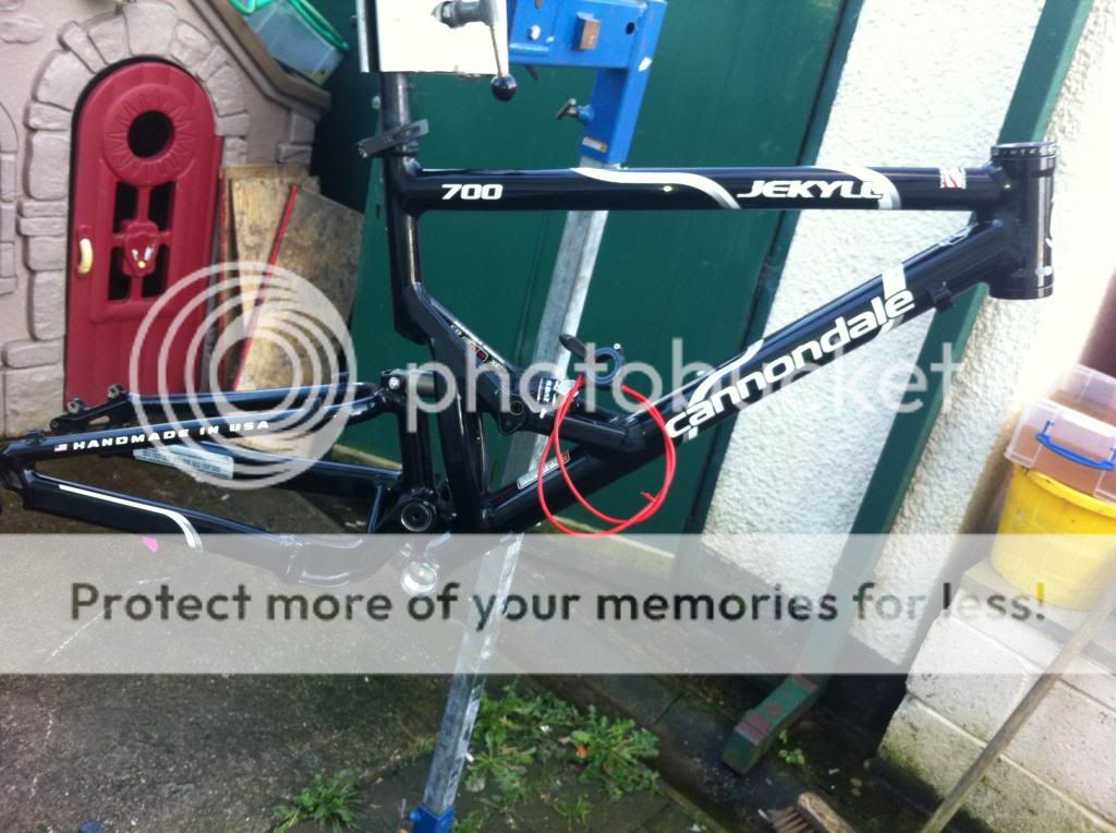 IMG_0465_zps2980aa33.jpg
