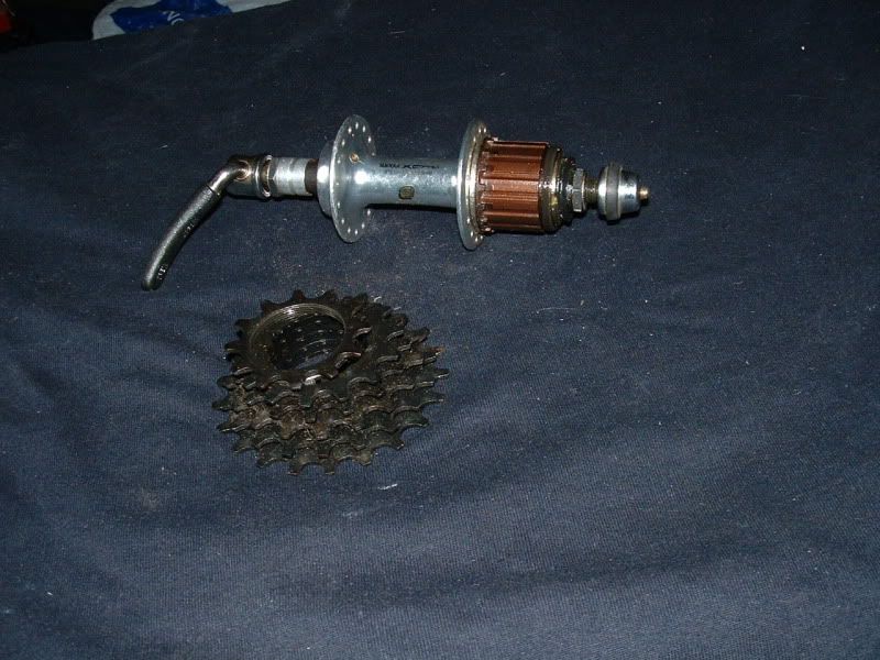 DSCF0148.jpg
