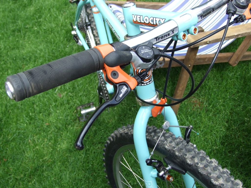 DSCF6619.jpg