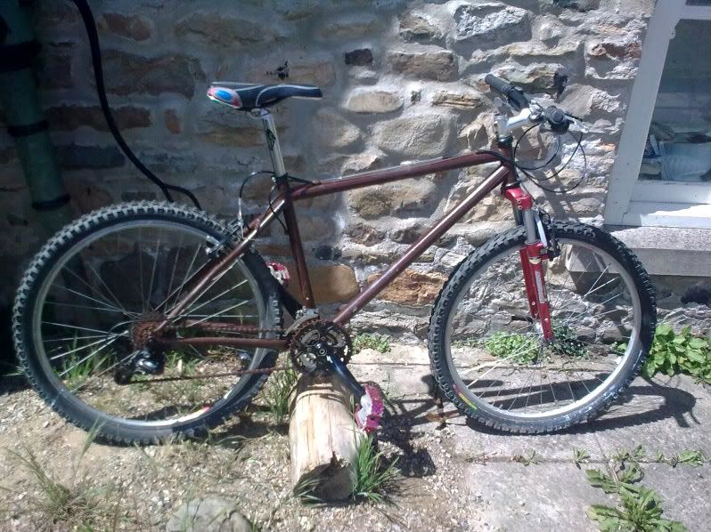 newbike001.jpg