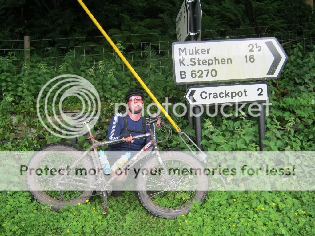 ym8.jpg