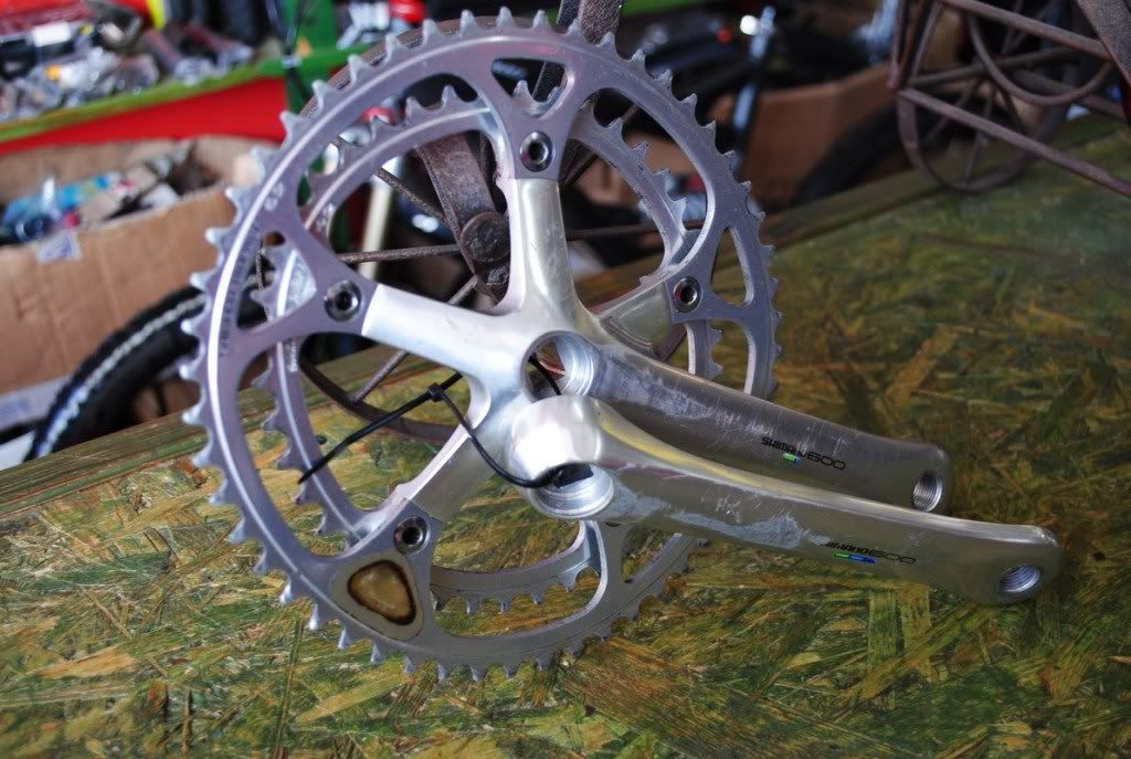 DSC_0152.jpg