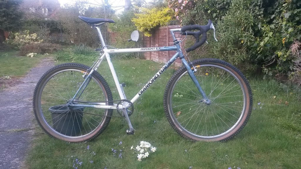 ascent ex diamondback