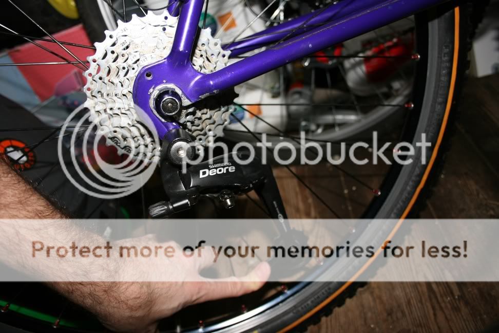 IMG_4440small.jpg