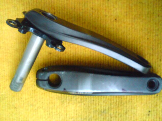 DSC01440.jpg